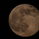 Illustration for article titled 19 Stunning Photos of The Year's Biggest, Most Beautiful Moon So Far